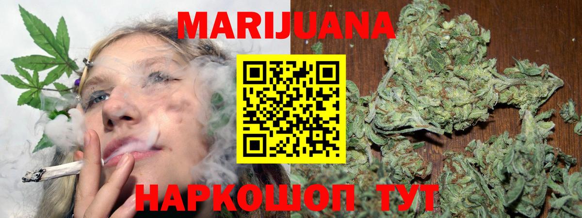 Марихуана гибрид Новокубанск